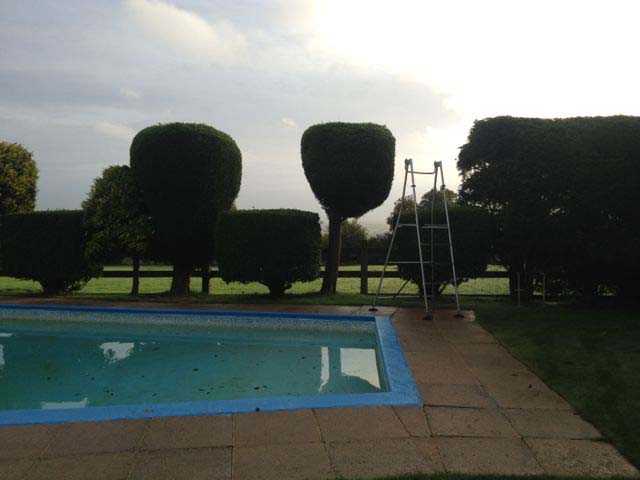 The Observatory grounds