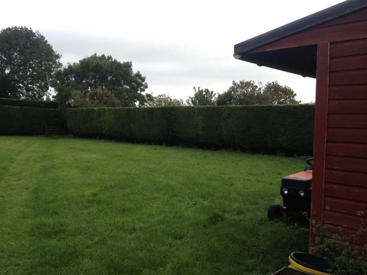 The Observatory grounds