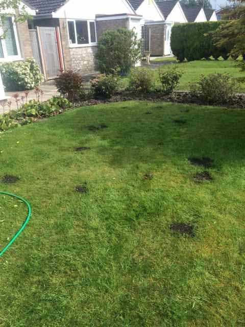 Repairing patchy Lawn