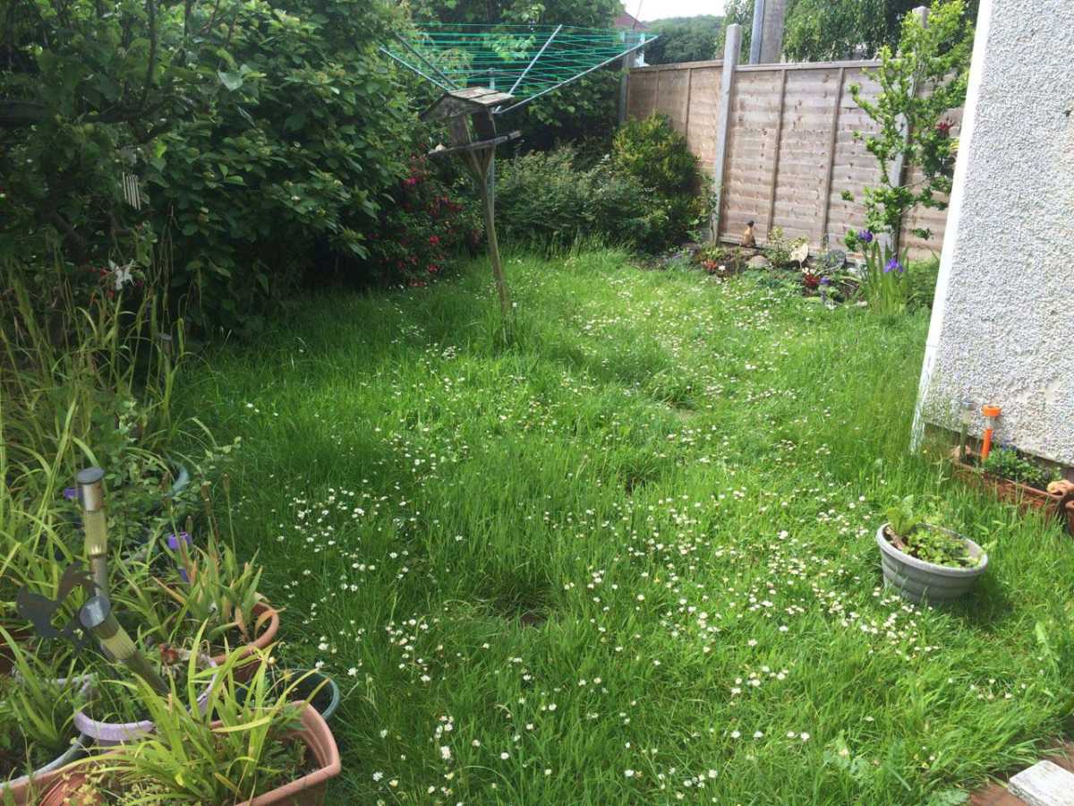 Grass Cutting Weston super Mare Before