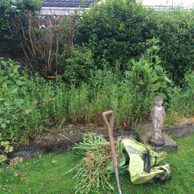 Rotavating Service Before