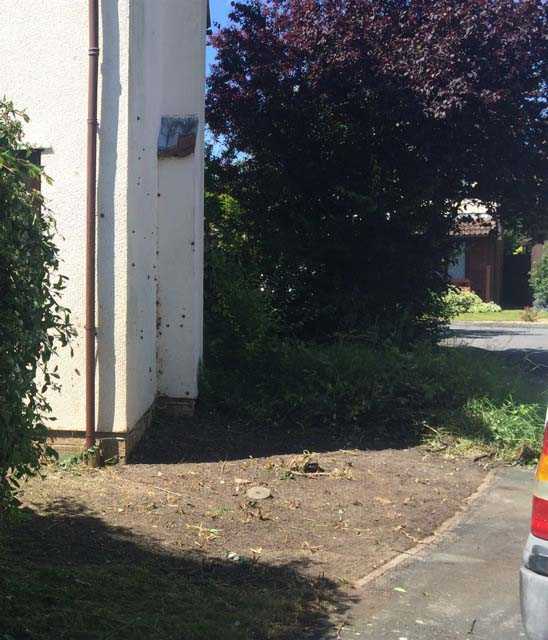 Bramble Clearance After