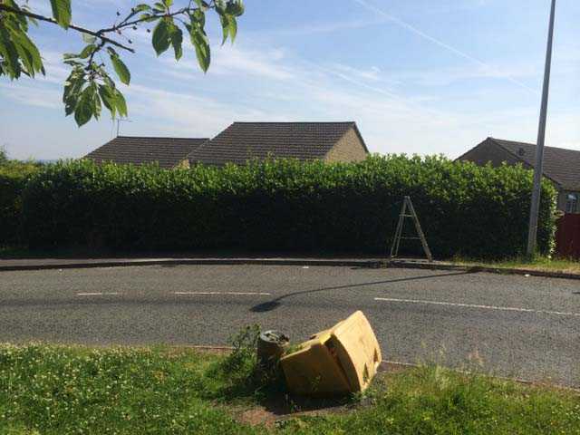 Laurel Hedge Reduction Before