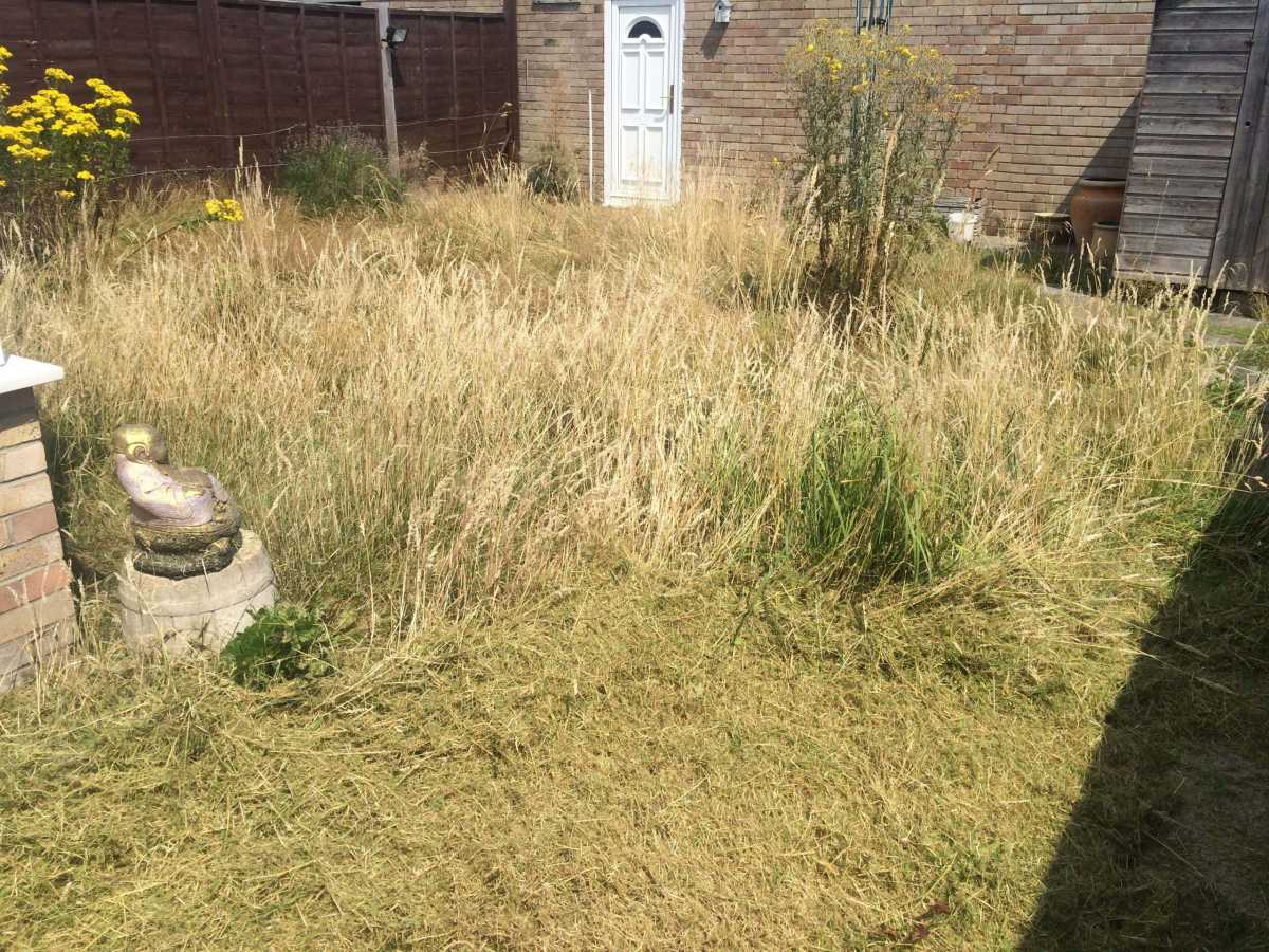 Grass cutting and Border work before