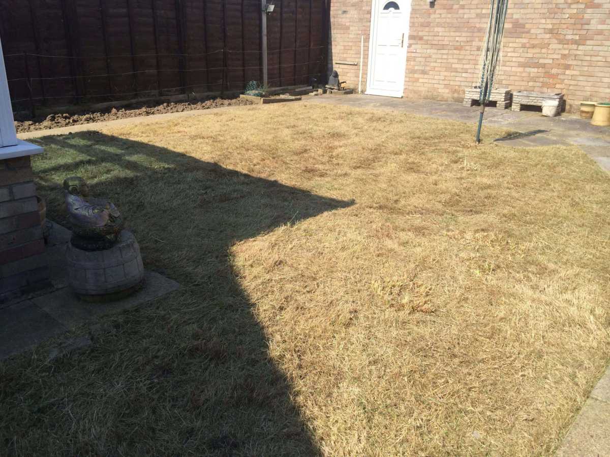 Grass cutting and Border work after