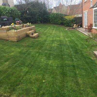 Regular grass cutting service