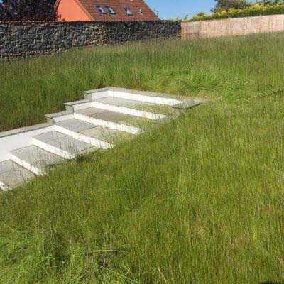 Overgrown grass cutting before