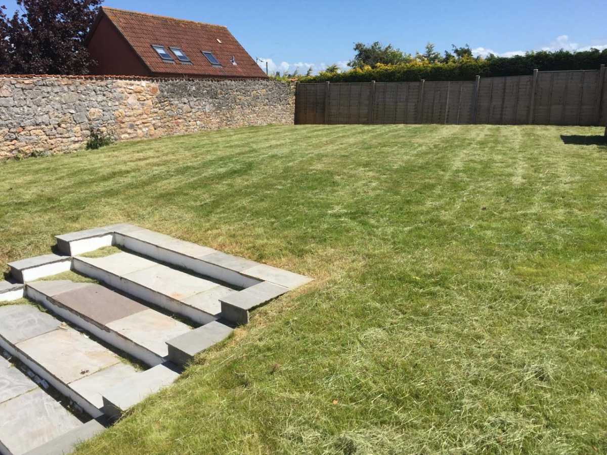 Overgrown grass cutting after
