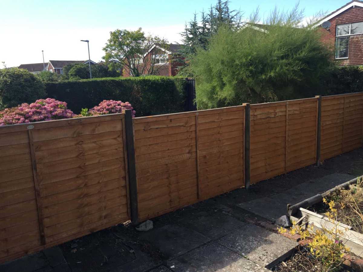 new 4ft panels after