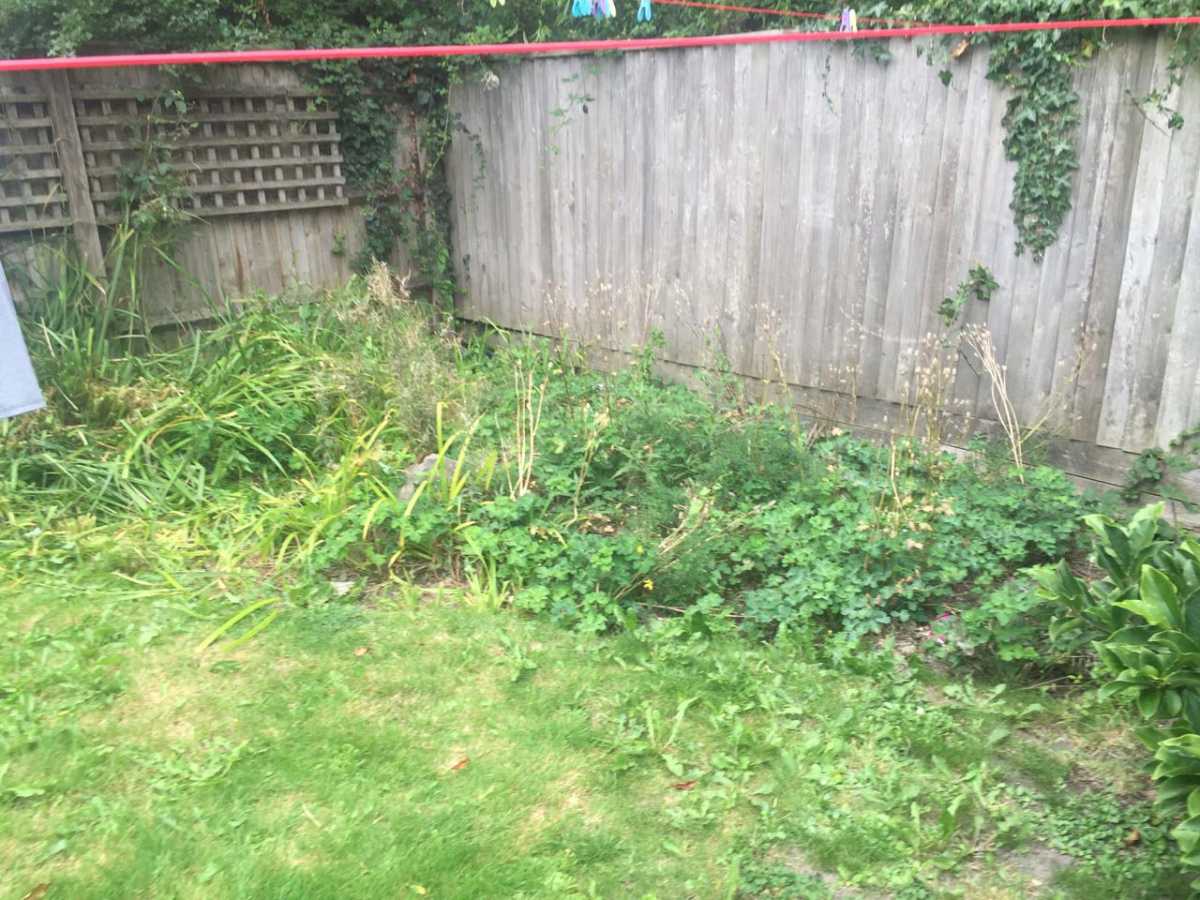 Border Weeding Before