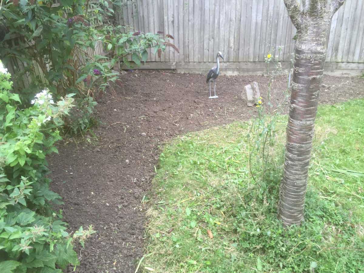 Border Weeding After