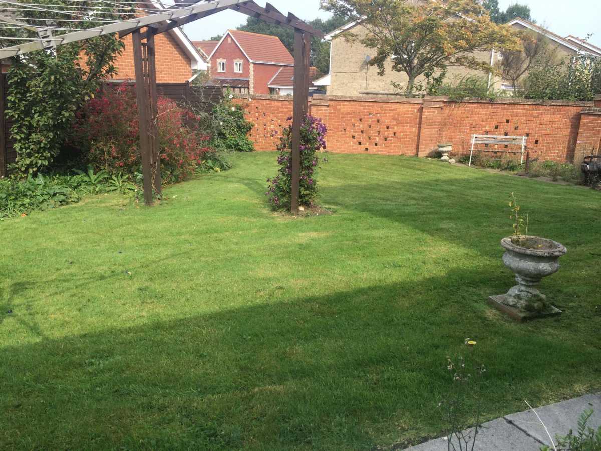 Grass cutting
