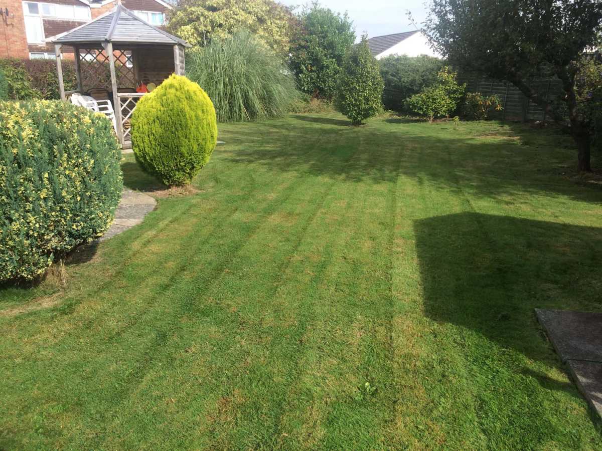 Grass cutting