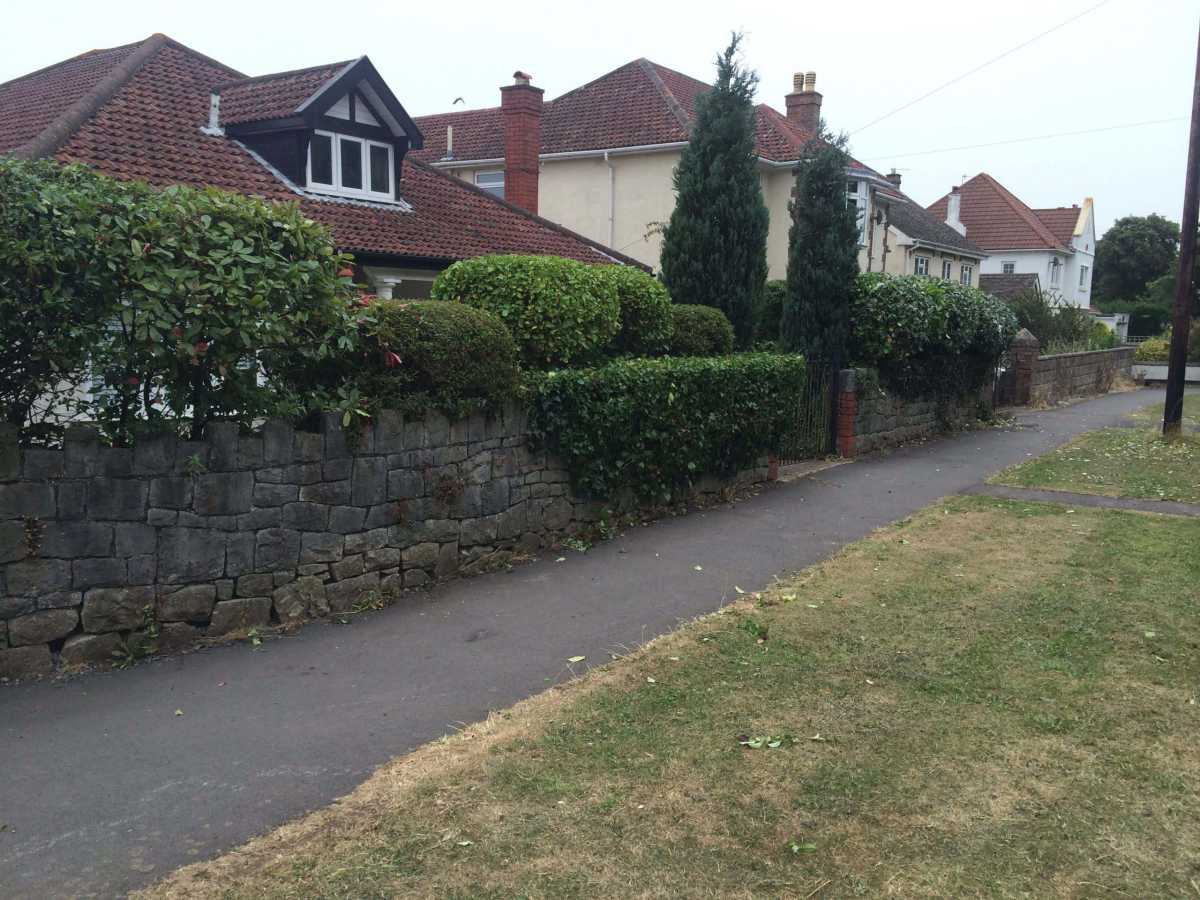 Hedge and Shrub Reduction after